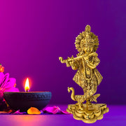 Brass Murti for Pooja
Krishna Statue for Mandir
Brass Krishna Home Decor
Krishna Idol for Gift
Krishna Figurine Middle East