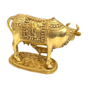 Brass Cow Statue For Pooja Room
Brass Cow Sculpture
Brass Cow For Worship
Brass Cow Figurine
Antique Gold Kamdhenu Idol Statue