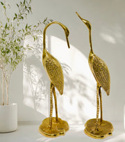 Garden Decor Flamingo Statue
Brass Garden Statue
Brass Bird Decor for Outdoor Spaces
Garden Flamingo Ornament Brass