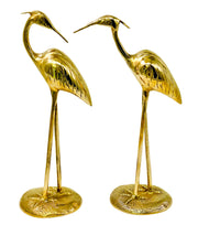 Solid Brass Flamingo Figure Pair
Garden Decor Flamingo Statue