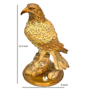 Vintage Brass Falcon Statue
Souvenir Gift Brass Falcon
Rustic Finish Brass Falcon
Online Shop Of Arabian Falcon Figurine