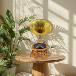 Vintage Gramophone
Brass Horn Gramophone
Wooden Gramophone Player